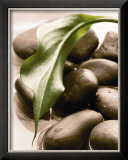 Buy Spring Retreat II at AllPosters.com