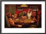 Bold Bluff