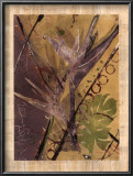 Buy Rainforest Suite II at AllPosters.com