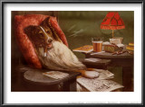 Bachelor's Dog