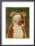 Pit Bull