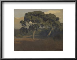 The Oaks