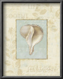 Buy Soothing Words Shells IV at AllPosters.com
