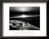 Buy Birds on a Beach at AllPosters.com