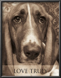 Buy Love Truly at AllPosters.com
