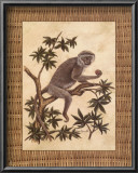 Monkey in a Tree I