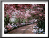 Azalea Walk
