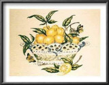 Lemons in a Porcelain Basket