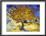 Mulberry Tree, c.1889