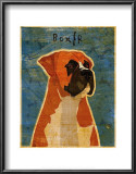 Boxer