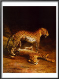 Buy Two Leopards Playing in the Exeter Change Menagerie, c.1808 at AllPosters.com