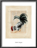 Buy Major Grey II at AllPosters.com