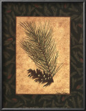 Buy White Pine at AllPosters.com