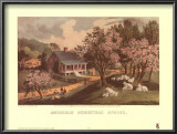 American Homestead Spring