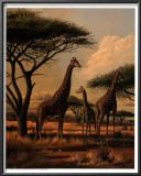Buy Giraffe Family at AllPosters.com