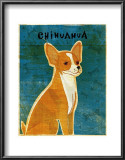 Chihuahua (red)