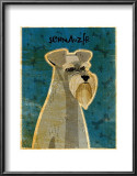 Schnauzer
