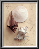 Buy Seaside Collection II at AllPosters.com