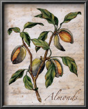 Almonds