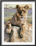 Buy Serengeti Lioness at AllPosters.com