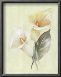 Buy Calla Lily IV at AllPosters.com