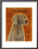 Weimaraner