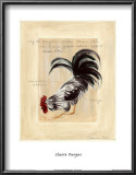 Buy Major Grey II at AllPosters.com