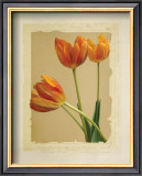 Buy Tangerine Tulips II at AllPosters.com