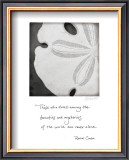 Buy Sand Dollar at AllPosters.com