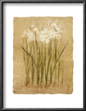 Buy Narcissus at AllPosters.com