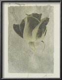 Buy Silver Stem II at AllPosters.com