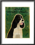 English Springer Spaniel (black and white)