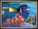 Searching for Nemo