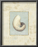 Buy Soothing Words Shells II at AllPosters.com