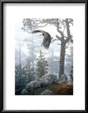 Shrouded Forest