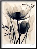 Lotus and Grasses