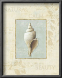 Buy Soothing Words Shells I at AllPosters.com