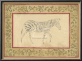 Buy African Zebra at AllPosters.com