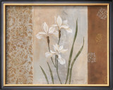 Buy Iris in the Mist at AllPosters.com