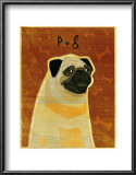 Pug