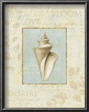 Buy Soothing Words Shells III at AllPosters.com