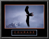 Buy Bald Eagle at AllPosters.com