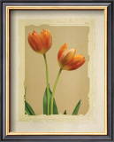 Buy Tangerine Tulips I at AllPosters.com