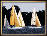 Buy Race at Annapolis II at AllPosters.com