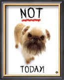 Not Today