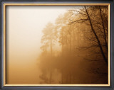 Buy Fog on Shelly Lake I at AllPosters.com