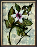 Buy Amazonia IV at AllPosters.com