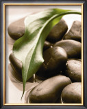 Buy Spring Retreat II at AllPosters.com