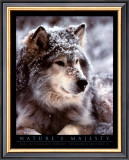 Buy Timber Wolf at AllPosters.com