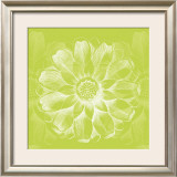 Buy Chromatic Rosette II at AllPosters.com